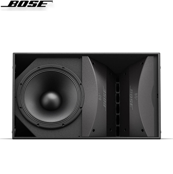 Loa Bose ArenaMatch AM40